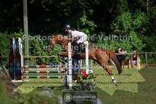 ref. photo 3681402