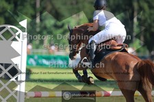 ref. photo 3681405