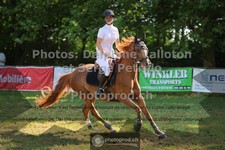 ref. photo 3681407
