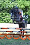ref. photo 3681471