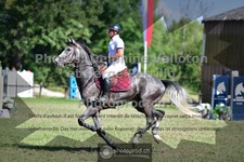 ref. photo 3681474
