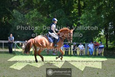 ref. photo 3681492
