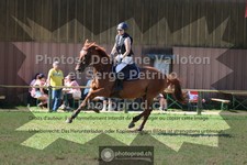 ref. photo 3681499