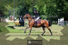 ref. photo 3681523