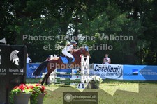 ref. photo 3681530