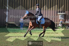 ref. photo 3681541