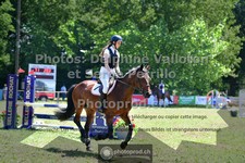 ref. photo 3681555