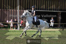 ref. photo 3681647