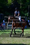 ref. photo 3681657