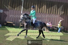 ref. photo 3681678