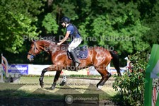 ref. photo 3681694