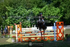 ref. photo 3681766