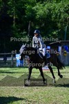 ref. photo 3681810