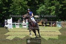 ref. photo 3681823