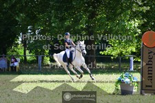 ref. photo 3681835