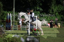 ref. photo 3681839