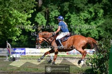 ref. photo 3681881