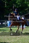 ref. photo 3681883