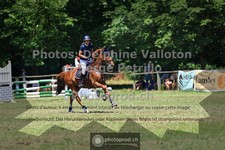 ref. photo 3681888