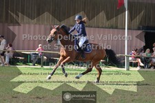 ref. photo 3681936