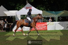 ref. photo 3681940