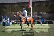 ref. photo 3681947