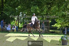 ref. photo 3681992