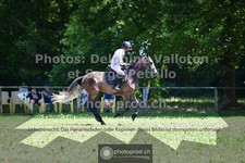 ref. photo 3681997