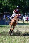 ref. photo 3682026