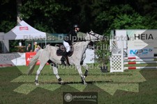 ref. photo 3682074