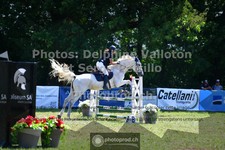 ref. photo 3682080