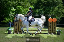 ref. photo 3682084