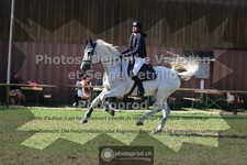 ref. photo 3682092