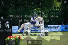 ref. photo 3682101