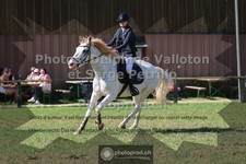 ref. photo 3682112