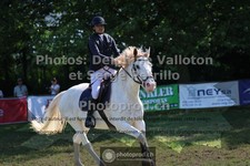 ref. photo 3682114
