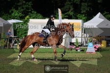 ref. photo 3682134