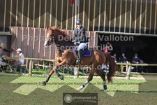 ref. photo 3682138