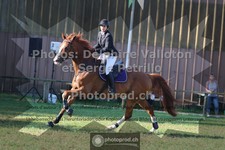 ref. photo 3682139