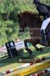 ref. photo 3682140
