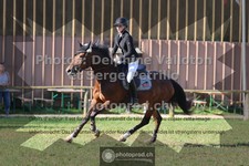 ref. photo 3682159