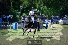 ref. photo 3682190