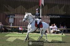 ref. photo 3682209