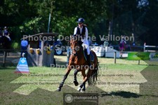 ref. photo 3682219