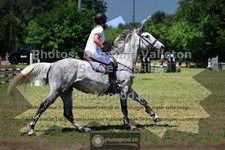 ref. photo 3682272