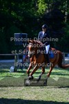 ref. photo 3682313