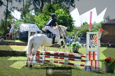 ref. photo 3682403