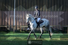 ref. photo 3682405