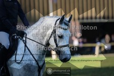 ref. photo 3682407