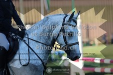 ref. photo 3682408